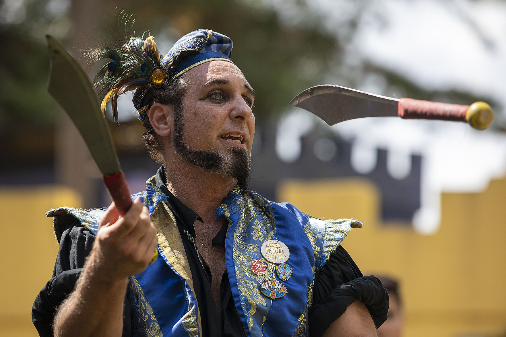 Texas Renaissance Festival